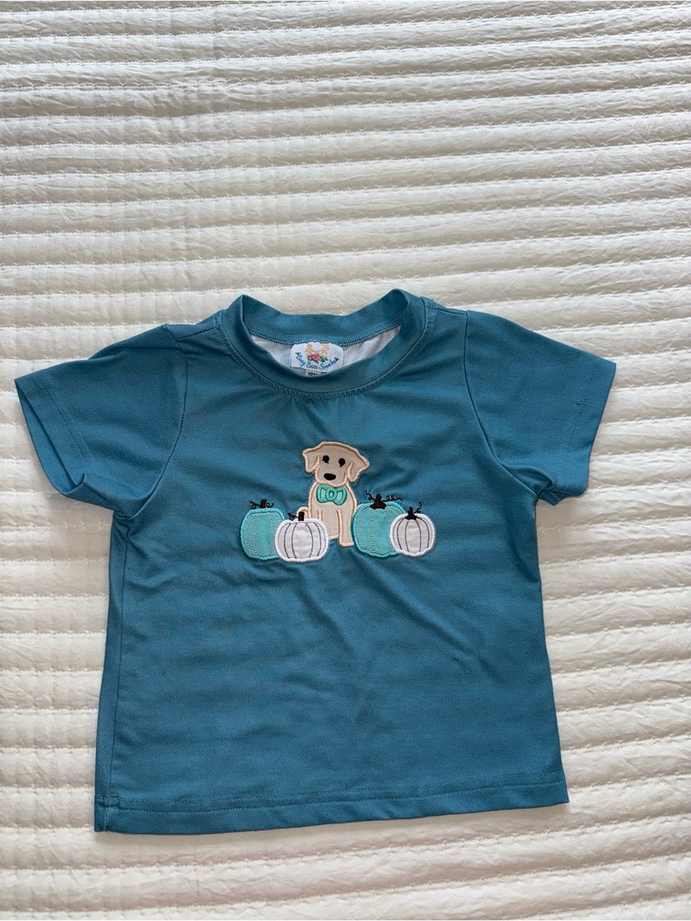 Toddler Teal Short-Sleeve Tee with Puppy & Pumpkins - Cute Playtop
